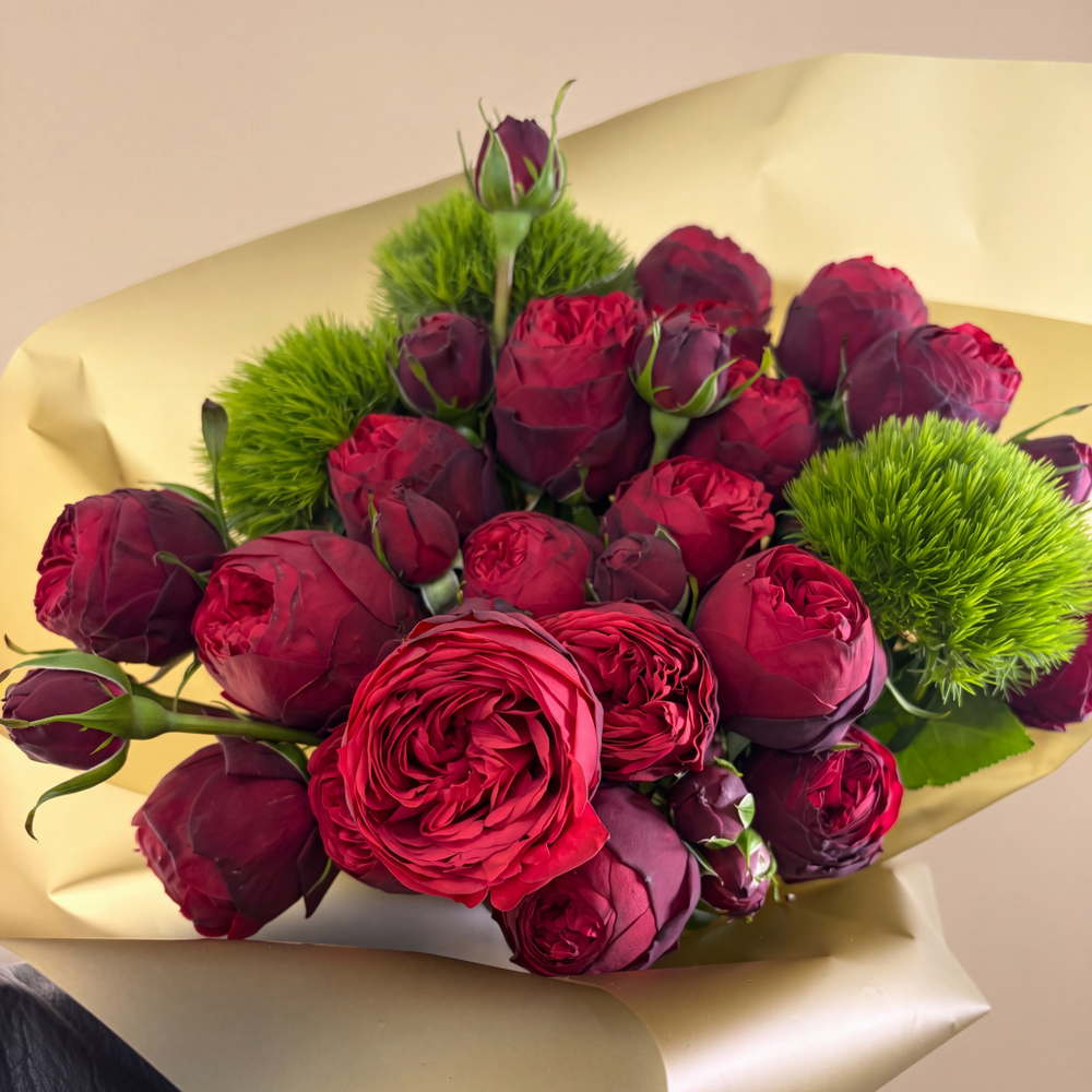 Розы Red piano с Барбатус Киви Меллоу. Burgundy Gold Premium