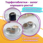 Лаванда белая морозостойкая, семена + торфяные таблетки Jiffy в подарок, 5 шт