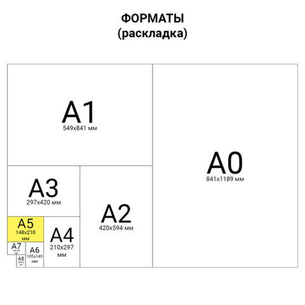 Блокнот с резинкой в клетку 96 л., А5 (145х203 мм), твердая обложка с фольгой, BRAUBERG, "Градиент", 113732