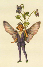 Flower Fairies. 100 postcards