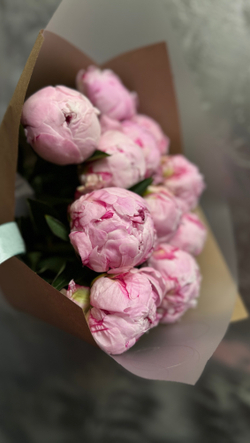 Пионы розовые 15 шт