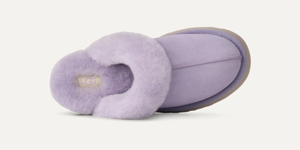 UGG Тапочки Zapatillas Disquette, сиреневый