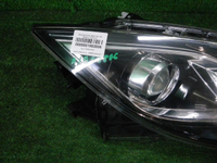 DSCN7083.JPG