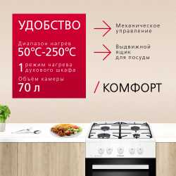 Газовая плита Hansa FCGW510009H