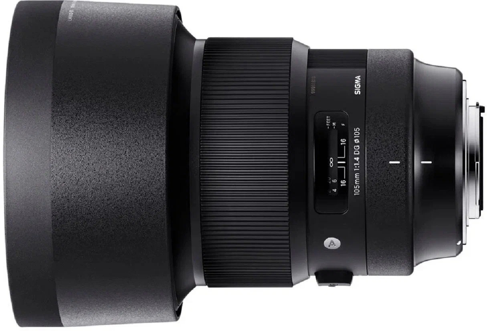 Объектив Panasonic LUMIX S 24-105mm f/4 MACRO O.I.S., макросъемка