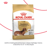 Royal Canin Dashshund Adult Такса Эдалт Корм сухой для взрослых собак породы Такса от 10 месяцев 7,5кг