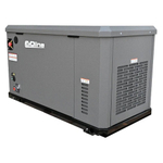 Генератор газовый EVOline GNG 19000 E (адаптированный)