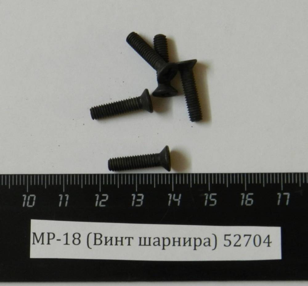МР-18 (Винт шарнира М4х18) 52704