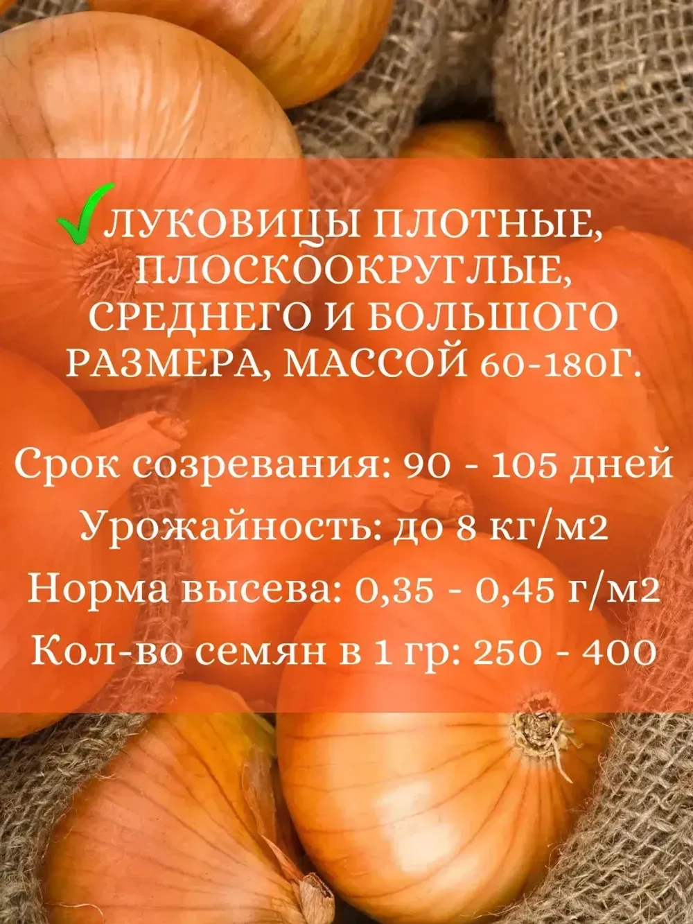 Семена Лук набор 3 шт