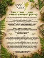 Вербейник соцветия с листом сушеные для свечей и магии