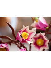 Конструктор Botanicals 11510 Ветви магнолии