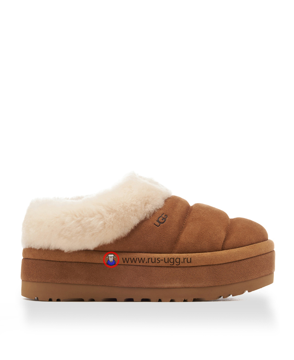 TAZZLITA Chestnut