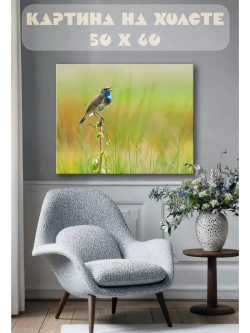 Картина на стену 40 X 50 Птица