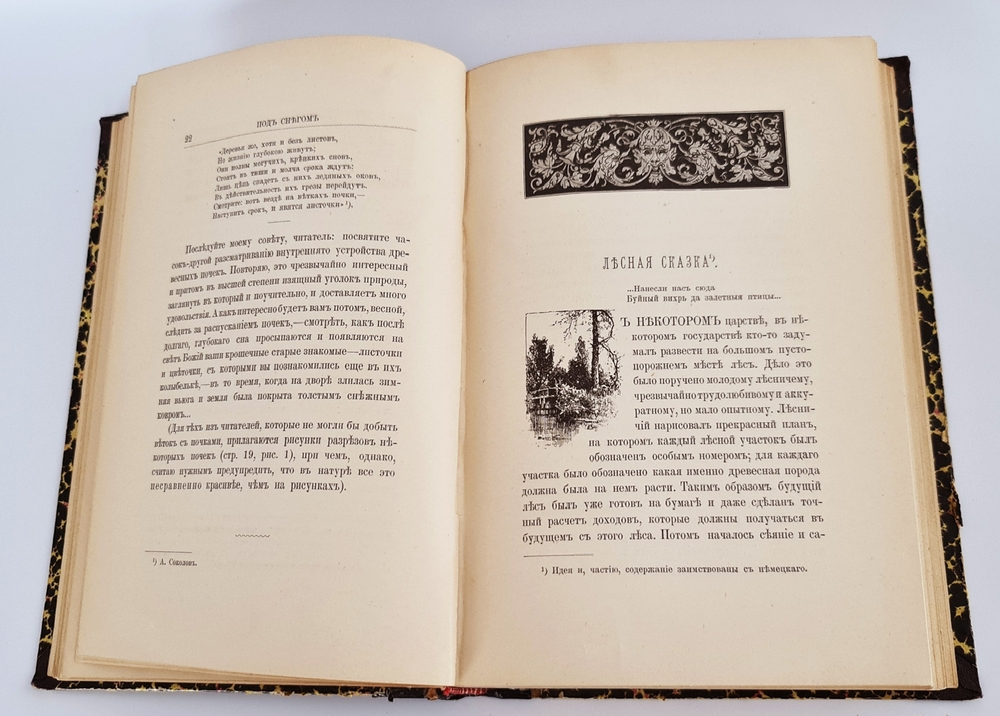 "Из зеленого царства. Популярные очерки из мира растений". Д.Н.Кайгородов. 1902г. - антикварное издание