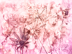 AQUARELLE 2