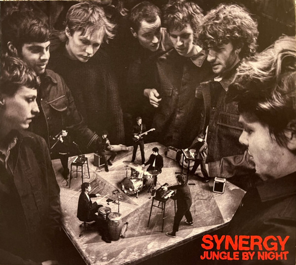 Jungle By Night - Synergy
