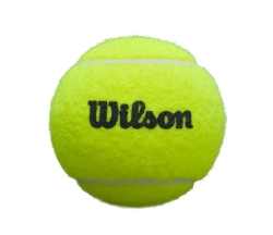 Мячи для Padel Wilson Premier Padel Balls 3B