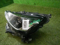 DSCN5476.jpg