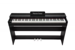 Pierre Cesar DP-12-H