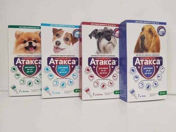 Чем заменить Адвантикс? Обзор препарата Атакса от KRKA 🐶 Чем заменить Адвантикс? Обзор препарата Атакса от KRKA 🐶