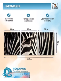 Модульная картина "Зебра зум" 150х70см