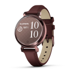 Garmin Lily 2