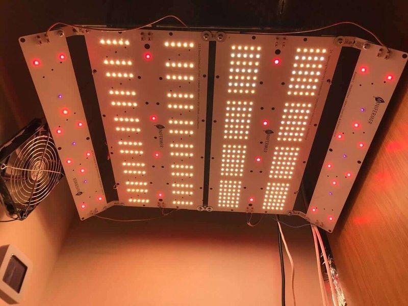 Booster Line 4.1 Osram GH CSSRM3.24 OSLON® Square Hyper 660nm + UV 385nm