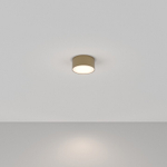 Накладной светильник Maytoni Zon C032CL-12W4K-RD-MG