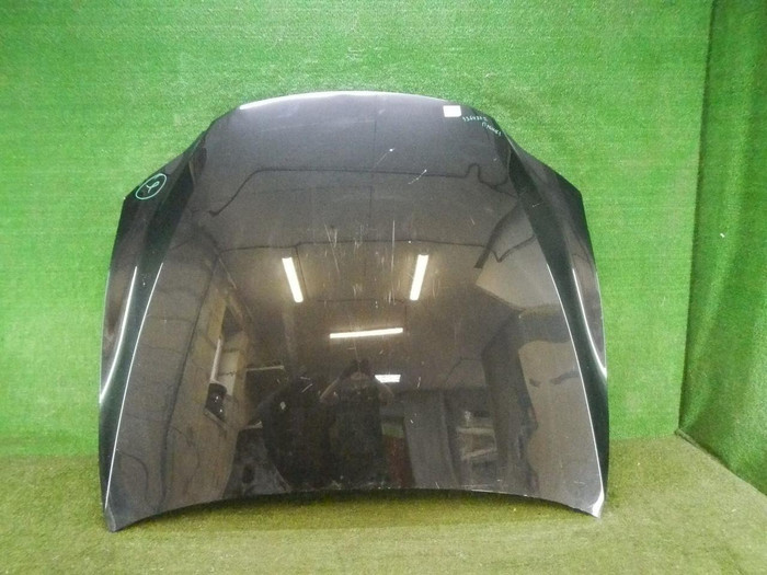 DSCN0803.jpg