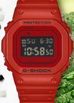 Часы Casio DW-5600RRB-4