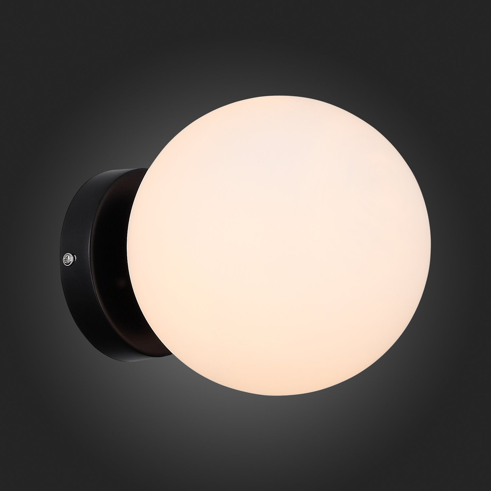 Светильник настенный ST Luce Acini SL717.401.01