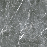 PAYER BLACK G 285 (ПАЙЕР БЛЭК ) 600*600 керамогранит матовый