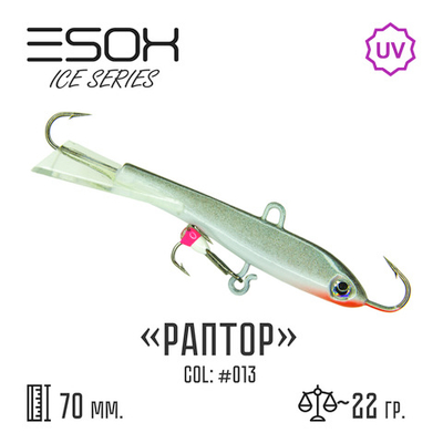 Raptor 70 C013
