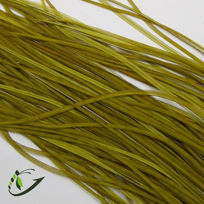 Перо из седла петуха Medium Olive