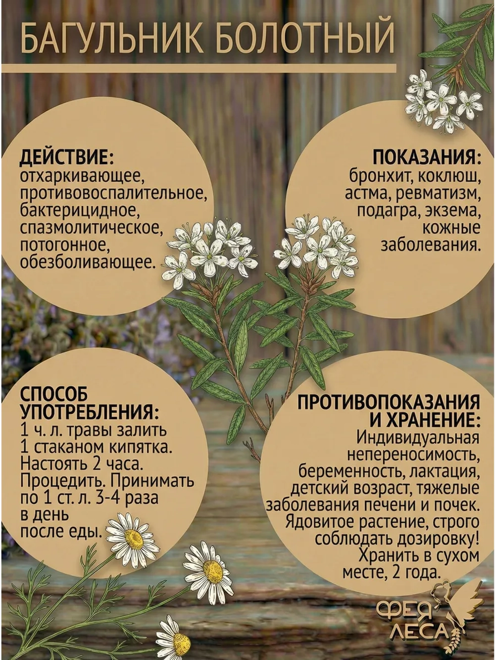 Багульник болотный (побеги) для очищения и защиты