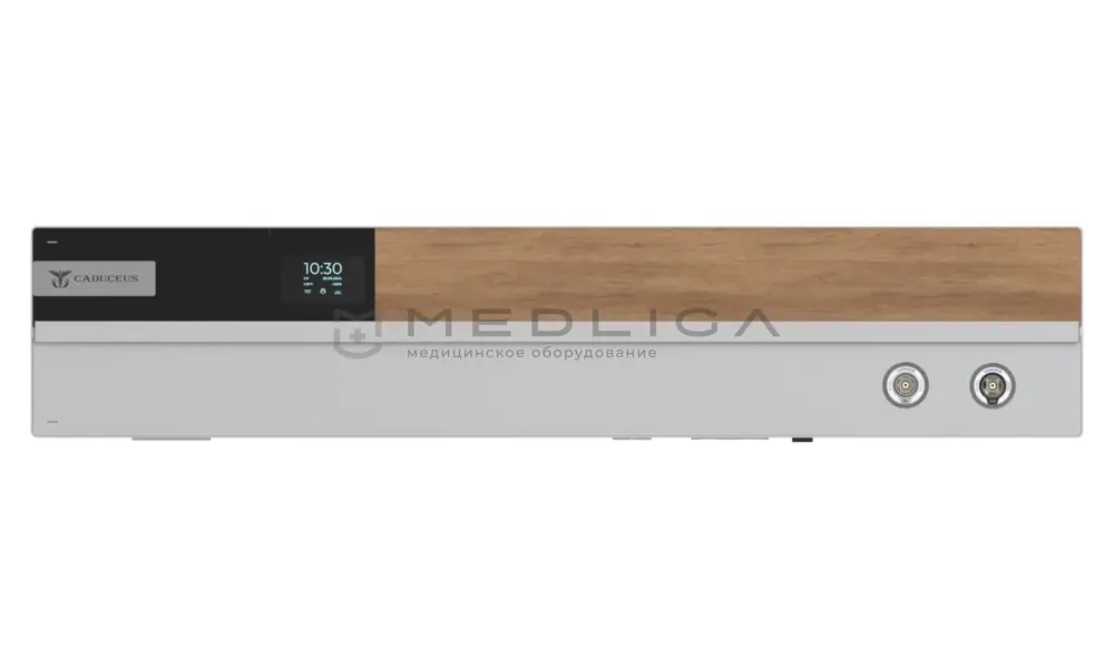 Настенная медицинская консоль CADUCEUS CN3-2(FUTURA)