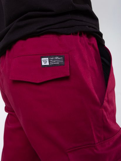 Брюки COOL PENGUIN Jogger Pitchsoft (Бордовый)