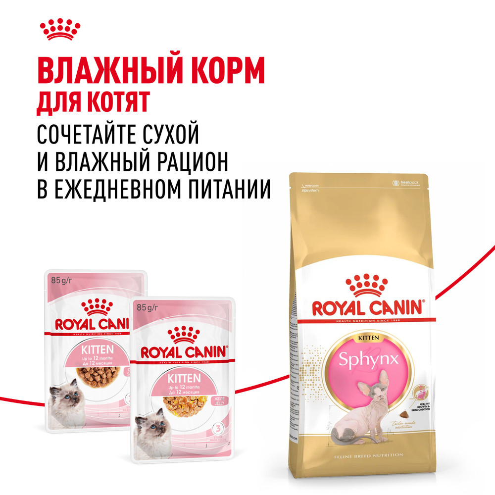 Royal Canin Sphynx Kitten Киттен Сфинкс Корм сухой для котят породы Сфинкс в возрасте от 4 до 12 месяцев 2кг