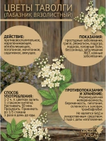 Таволга (лабазник) соцветия для свечей, творчества и хобби