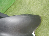 DSCN7745.jpg