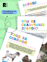 Транспорт. Первая энциклопедия малыша