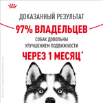 Royal Canin Maxi Joint Care Макси Джойнт кэа Корм сухой для взрослых собак крупных размеров с повышенной чувствительностью суставов 10кг
