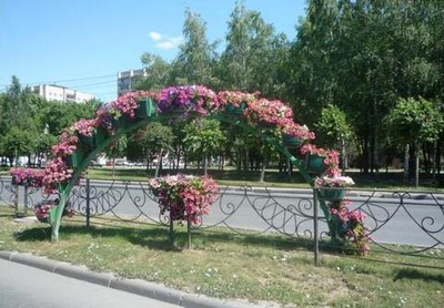 Арка Сказка