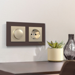 Диммер (шампань)