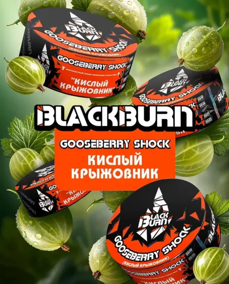 Black Burn - Gooseberry Shock