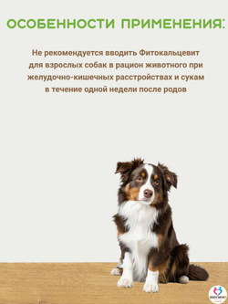 Фитокальцевит витаминно-минеральный комплекс для взрослых собак,500г