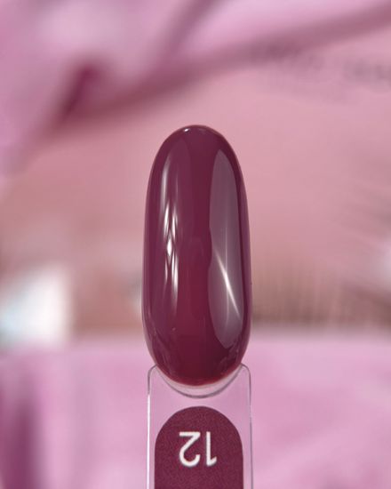 Gel lacquer Galaxy гель-лак 12, 9g