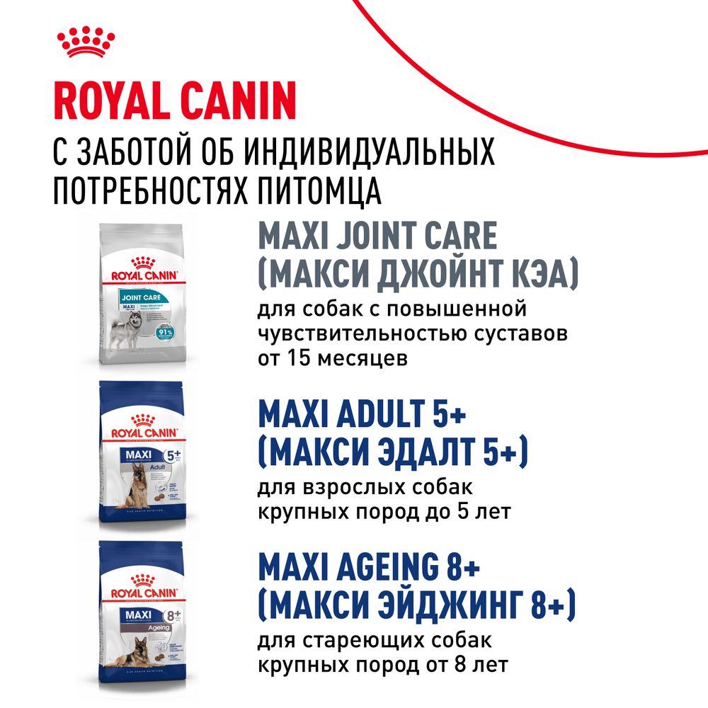 Сухой корм Royal Canin Maxi Adult для взрослых собак крупных размеров от 15 месяцев до 5 лет