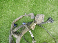 DSCN0067.jpg