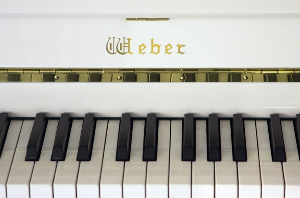 Weber Continental W114